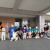 Thumbnail of related posts 073